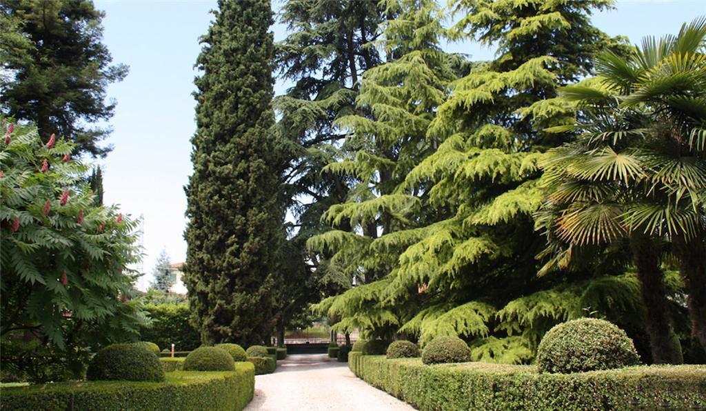 Villa Avesani Pastrengo Eksteriør bilde